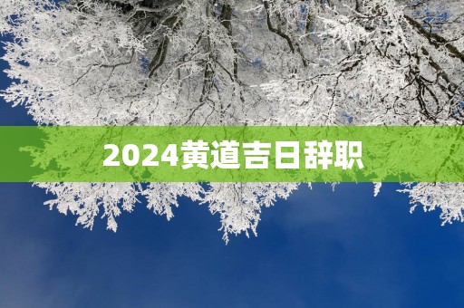 2025黄道吉日辞职