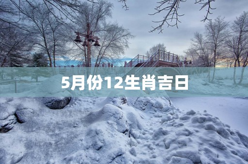 5月份12生肖吉日