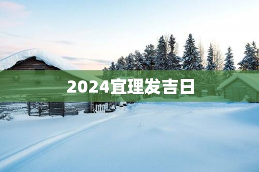 2025宜理发吉日