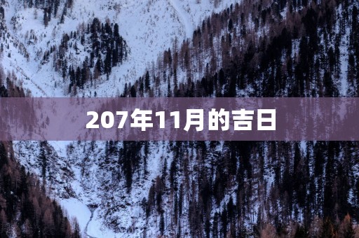 207年11月的吉日