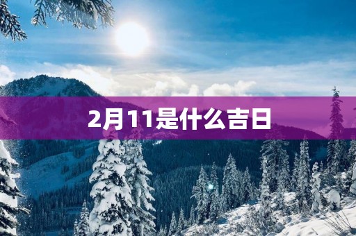 2月11是什么吉日