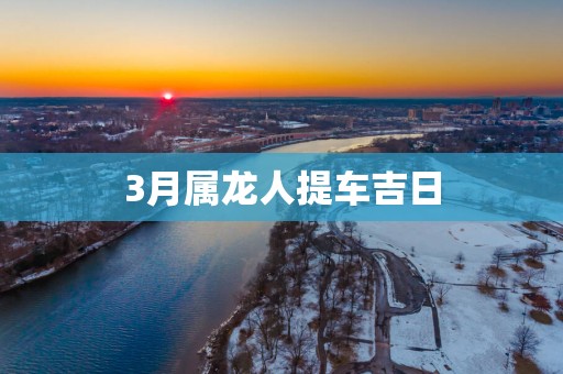 3月属龙人提车吉日