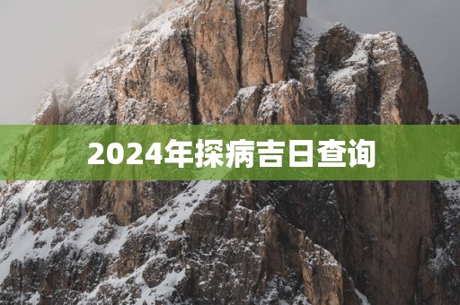 2025年探病吉日查询