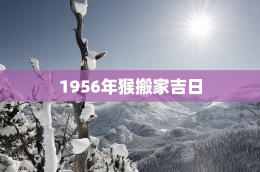 1956年猴搬家吉日