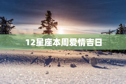 12星座本周爱情吉日