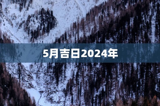 5月吉日2025年
