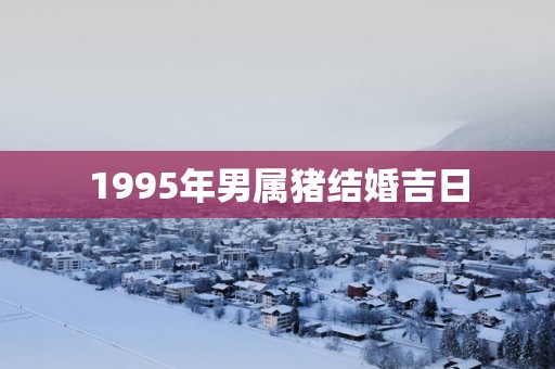 1995年男属猪结婚吉日