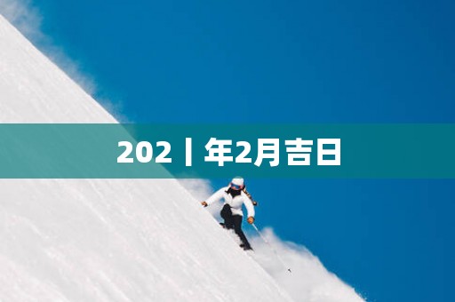 202丨年2月吉日