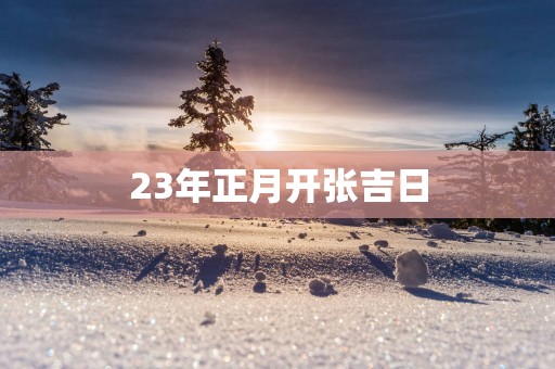 23年正月开张吉日