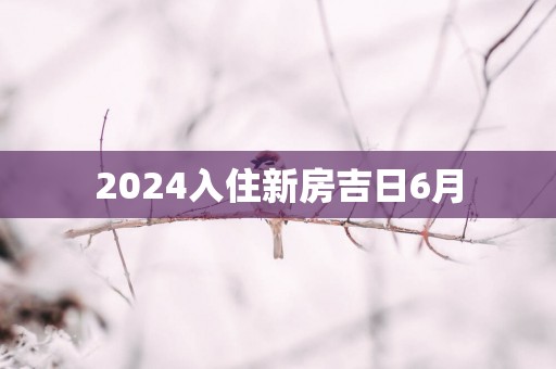 2025入住新房吉日6月
