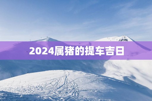 2025属猪的提车吉日