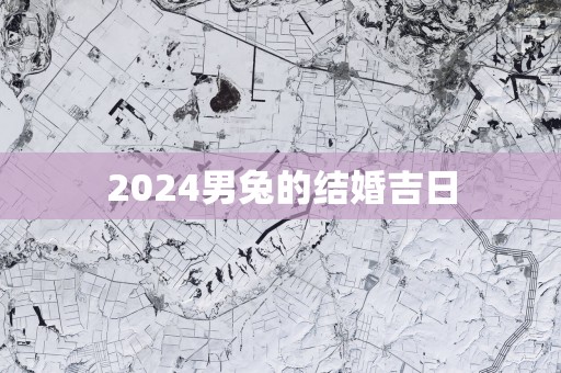 2025男兔的结婚吉日