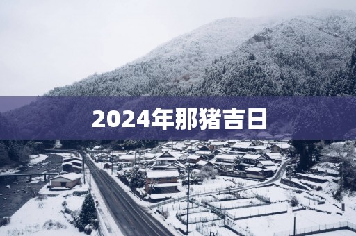2025年那猪吉日