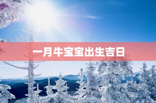 一月牛宝宝出生吉日