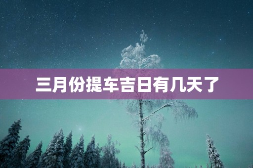 三月份提车吉日有几天了