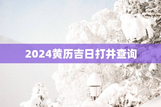 2025黄历吉日打井查询