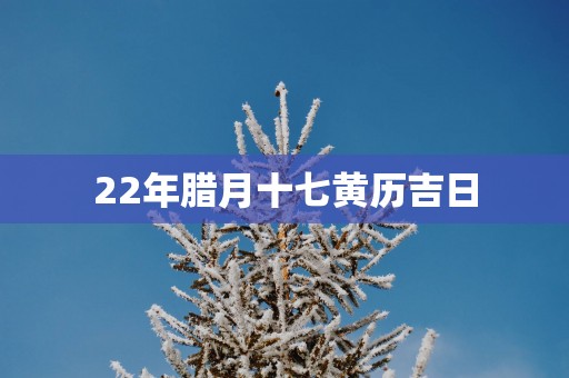 22年腊月十七黄历吉日