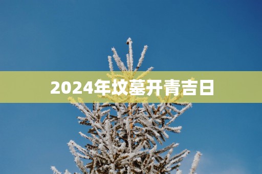 2025年坟墓开青吉日