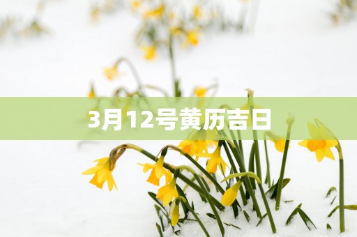 3月12号黄历吉日