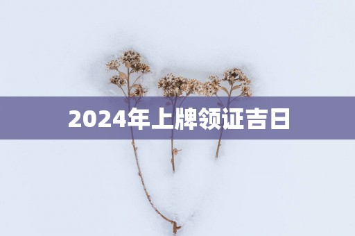 2025年上牌领证吉日