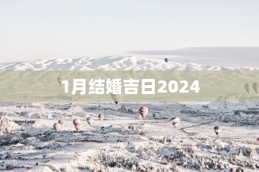 1月结婚吉日2025