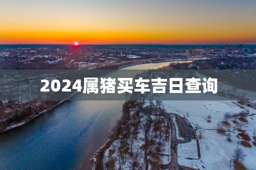 2025属猪买车吉日查询