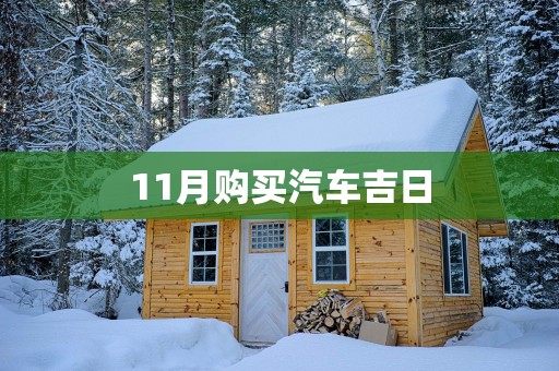11月购买汽车吉日
