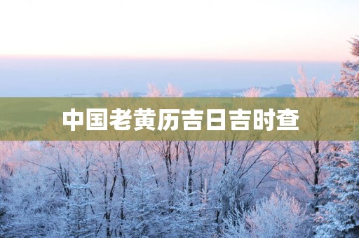 中国老黄历吉日吉时查