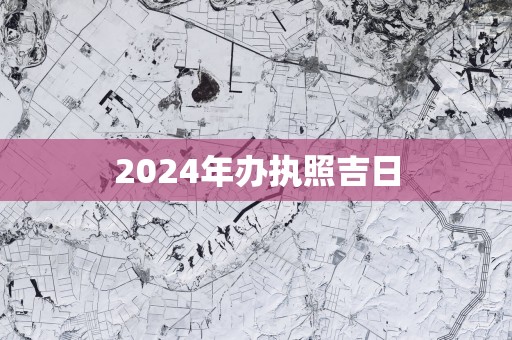 2025年办执照吉日