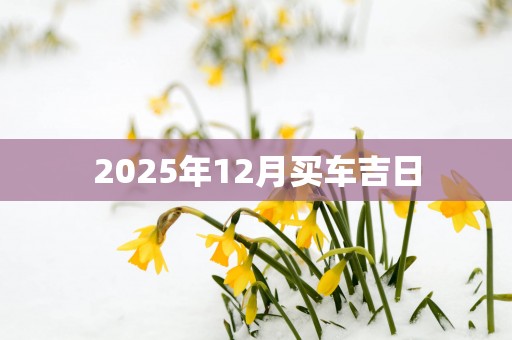 2025年12月买车吉日