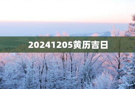 20251205黄历吉日