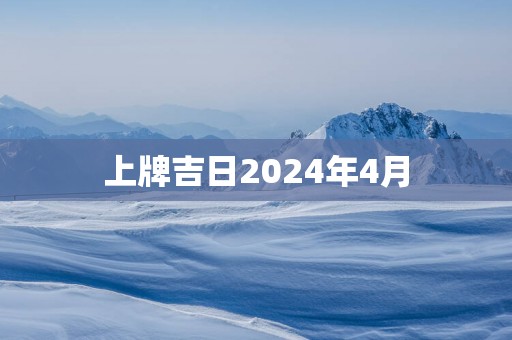 上牌吉日2025年4月