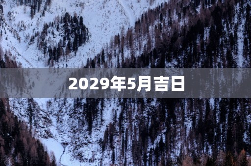 2029年5月吉日