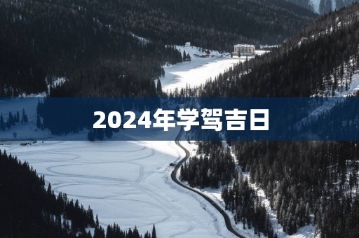 2025年学驾吉日