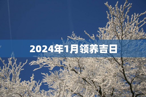 2025年1月领养吉日