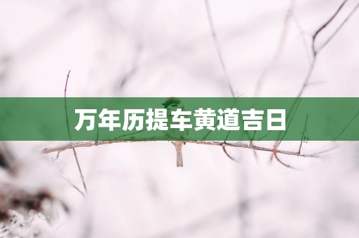 万年历提车黄道吉日