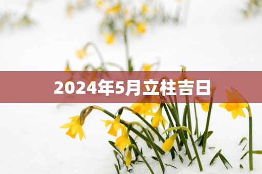 2025年5月立柱吉日