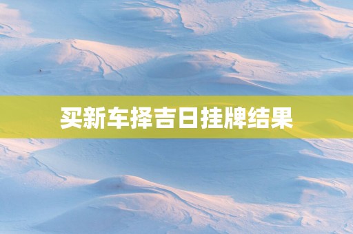 买新车择吉日挂牌结果