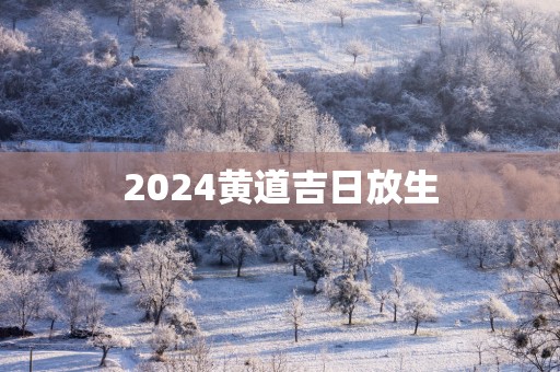 2025黄道吉日放生
