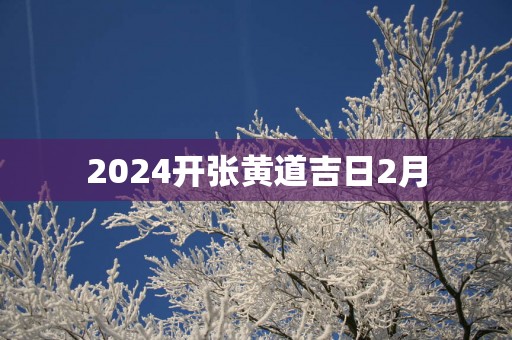 2025开张黄道吉日2月