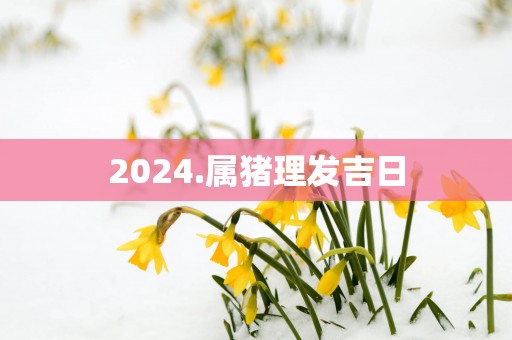 2025.属猪理发吉日