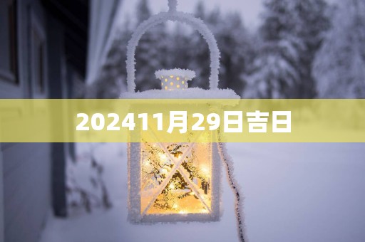 202511月29日吉日
