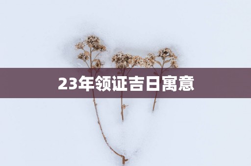 23年领证吉日寓意