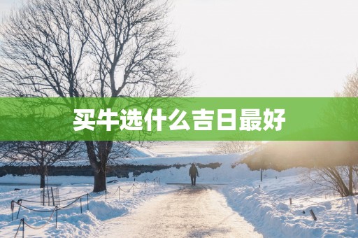 买牛选什么吉日最好
