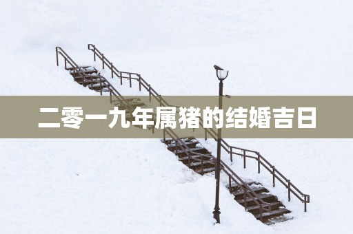 二零一九年属猪的结婚吉日