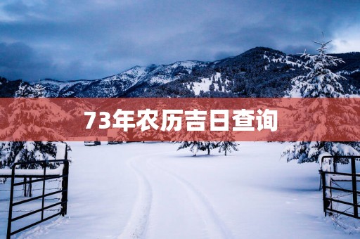 73年农历吉日查询