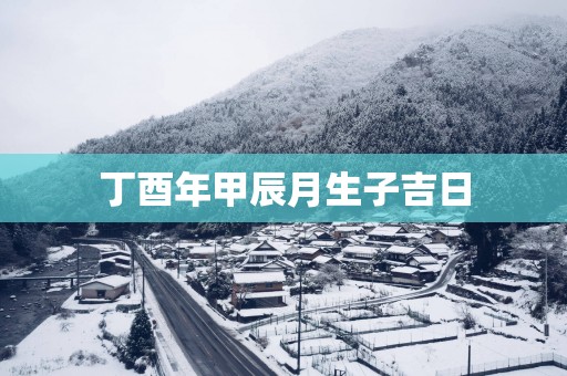 丁酉年甲辰月生子吉日