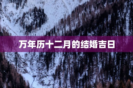 万年历十二月的结婚吉日