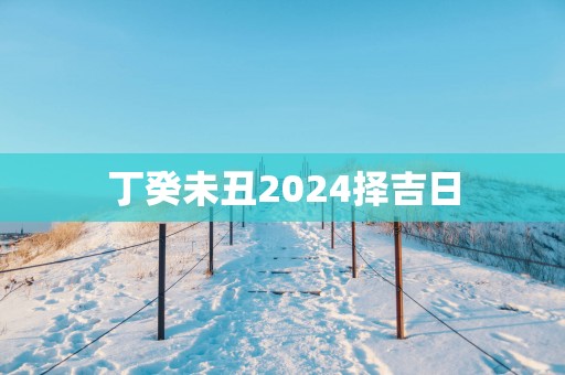 丁癸未丑2025择吉日