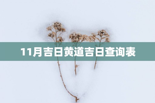 11月吉日黄道吉日查询表